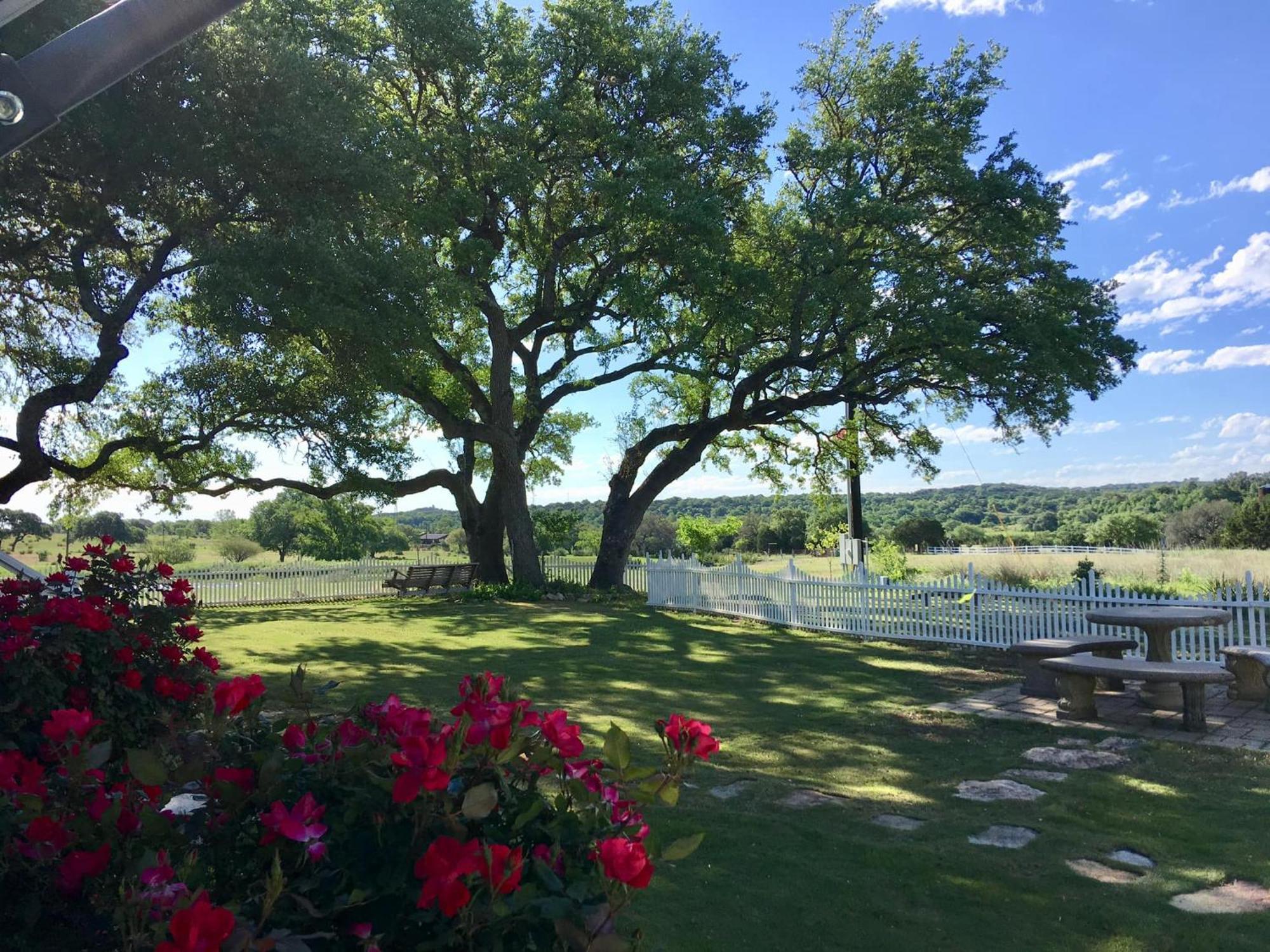 The Alexander At Creek Road Hotel Dripping Springs Buitenkant foto